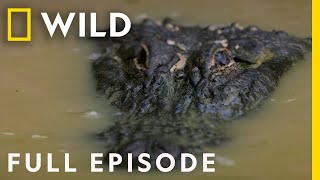 Predators of the Swamp Full Episode  Dead by Dawn [upl. by Alys650]