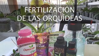 FERTILIZACION DE LAS ORQUÍDEAS [upl. by Earased734]