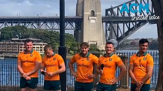 Wallabies new 2025 jersey revealed [upl. by Etirugram864]