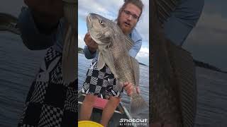 saltlife fishing fish saltwater oceanfishing funny fishingvideo sportfishing [upl. by Benn]