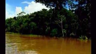 Epopéia Parte 2  Documentário Amazônia [upl. by Neersin]