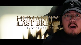 1ST LISTEN REACTION Humanitys Last Breath  Labyrinthian [upl. by Wolliw]