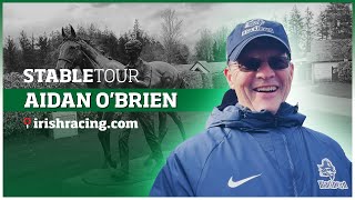 Aidan OBrien Ballydoyle  Coolmore Stable Tour  March 2023 [upl. by Goddord]