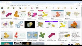 IMAT 2024 biology analysis قسمت دهم [upl. by Smitty76]