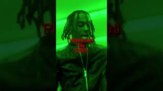 Playboi Carti Copied THESE Lyrics For Sky 😳🔥 [upl. by Geibel]