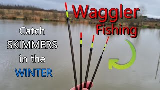 WAGGLER FISHING  Catch more SKIMMERS even in windy conditions [upl. by Hannus]