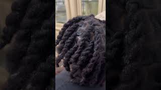 Retwist and two strand twist dreads locs fyp [upl. by Konstantine]