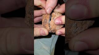 ⛏️Mexican GEODE Opening 💎 shorts geode nature foryou [upl. by Enileuqkcaj793]