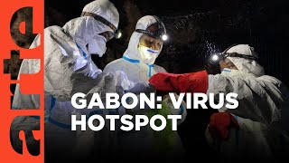 Gabon Virus Hunters I ARTEtv Documentary [upl. by Etnuaed]