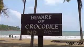 Andaman amp Nicobar Islanders Conflict with Crocodiles [upl. by Henning]