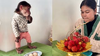 See this funny monkey Icy Are Eating Snack With Mom cute monkey animals eating [upl. by Alyehs26]