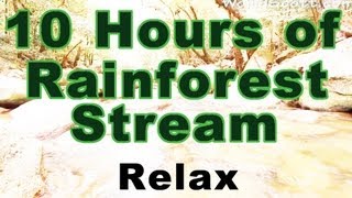 10 hours of rainforest stream and sounds in Full HD Rainforest Relaxation [upl. by Jedlicka84]