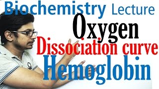 Oxygen hemoglobin dissociation curve explained [upl. by Yentroc205]