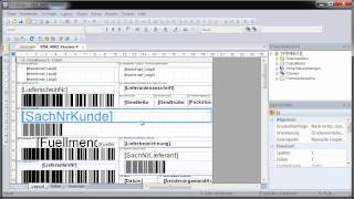 VDA4902 Labels und KLT Warenanhänger drucken TFORMer Designer [upl. by Stephanus965]