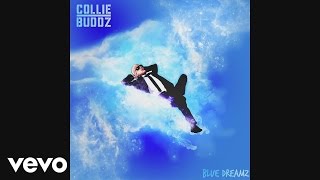 Collie Buddz  Pressure Audio [upl. by Theron]