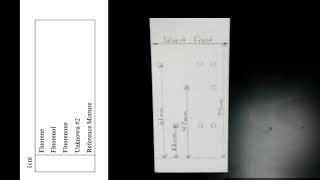 ThinLayer Chromatography TLC [upl. by Stalk]