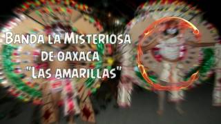 Las amarillas  Banda la Misteriosa de Oaxaca [upl. by Willie]