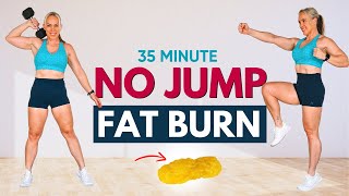 NO JUMPING Low Impact High Calorie Burn Workout  NO REPEAT [upl. by Hallerson]