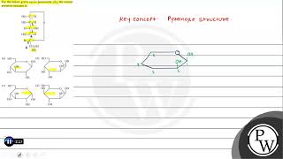 For the below given cyclic hemiacetal X the correct pyranose structure is X a c d [upl. by Hester251]