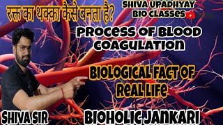 Understanding the Process of Blood Coagulation  रक्त का थक्का बनने की प्रक्रिया [upl. by Enram]