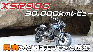 洗車をしながらXSR900のレビュー、インプレ [upl. by Ecirtam994]