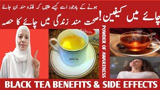 Star Anise Tea – Benefits Side Effects and How to Prepare [upl. by Dash726]