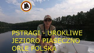 PSTRAGI UROKLIWE JESIORO PIASECZNO ORLE POLSKA [upl. by Deth768]