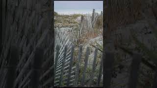 Tybee Island Beach [upl. by Sorvats385]