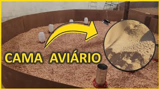 CAMA do AVIÁRIO materiais manejo e quantidade necessária para criação de galinhas [upl. by Annairol]