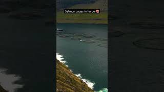 Salmon cage in the FaroeIslands djimavicair2 drone nordictravel faroe [upl. by Llehcar46]