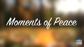 Moments of Peace  Leaves Vol 1 [upl. by Alyakcm]