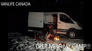 Winter Camping at Maclean Creek Campground NO BUILD Ford Van vanlife vancamping livinginavan [upl. by Katy283]