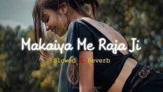 Makaiya Me Raja Ji  Slowed Reverb [upl. by Mirelle63]