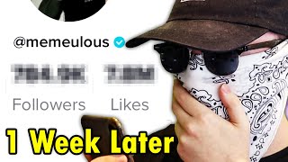 Can STEALING TikToks Make You TikTok Famous [upl. by Hengel]