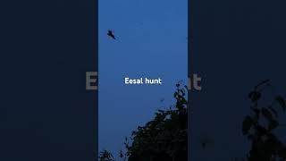 Eesal hunt [upl. by Florian]