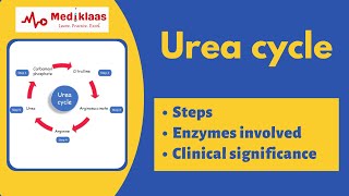 Urea cycle biochemistry [upl. by Aehsrop446]