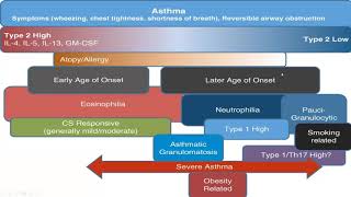 10920 Asthma phenotypes [upl. by Ellenig]