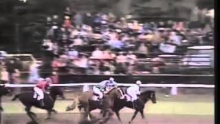 91 Velká pardubická steeplechase  1981 [upl. by Friedrich]