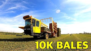 Hustlin 10k Bales [upl. by Gravante850]