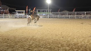 The Rupununi Ranchers Rodeo 2023 Lethem [upl. by Eissej]