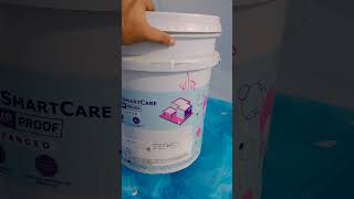 How To Use DAMP PROOF  Asian Paints Dr Dixit Roofseal  छत की वाटर प्रूफिंग कैसे करें  Repair Roof [upl. by Carry719]