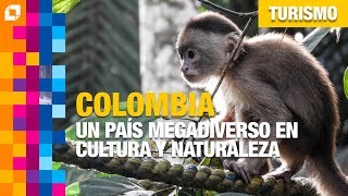 Colombia un país megadiverso en cultura y naturaleza [upl. by Pablo660]