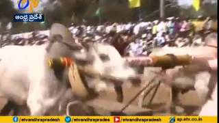 Ongole Bull Show  2018 Held  in Mahanandi  Kurnool Dist [upl. by Phila]