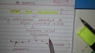 What are polysomes biology  SDVERMA [upl. by Verla]