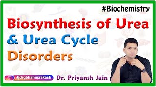 Biosynthesis Of Urea Urea cycle Steps Site Regulation and Urea cycle disorders  USMLE Step 1 [upl. by Hctub]