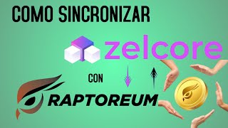 Como Sincronizar la Billetera de Raptoreum con la de Zelcore Muy Fácil y rápido [upl. by Ahsoj661]