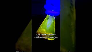 Alimentos fluorescentes 😲🧪🔦 bacillandociencia laboratoriodeciencias fluorescence experiments [upl. by Aubree384]