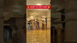 Mandsaur🙏🙏 Pashupatinath shivna Nadi Pani ghus Gaya Mandir mein short video Gandhi Sagar dam [upl. by Amieva261]