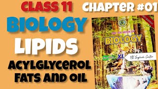 Lipids Acylglycerol Fats and Oil 11th biology Chapter 01Biological molecules Sindh board [upl. by Asilef298]