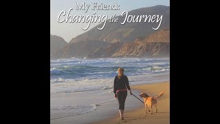 My Friend Changing the Journey [upl. by Adnoval540]